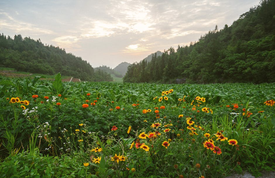 China solar farm Chinese battery manufacturing - 中国新エネ業界、海外展開と技術革新の最前線！激化する市場競争と最新動向