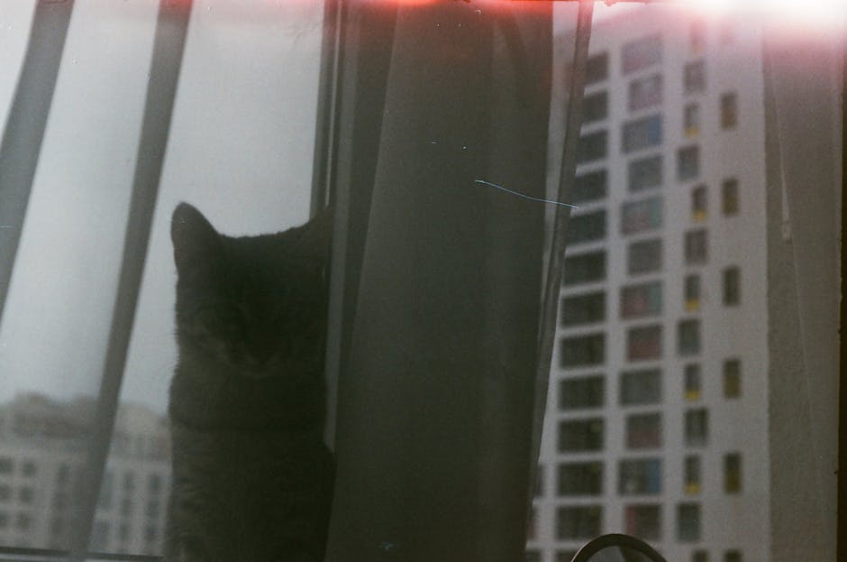 creepy silhouette cozy cat - Steam新作『寻找伪人』:異質な「偽人」と孤独、そして猫の温もり