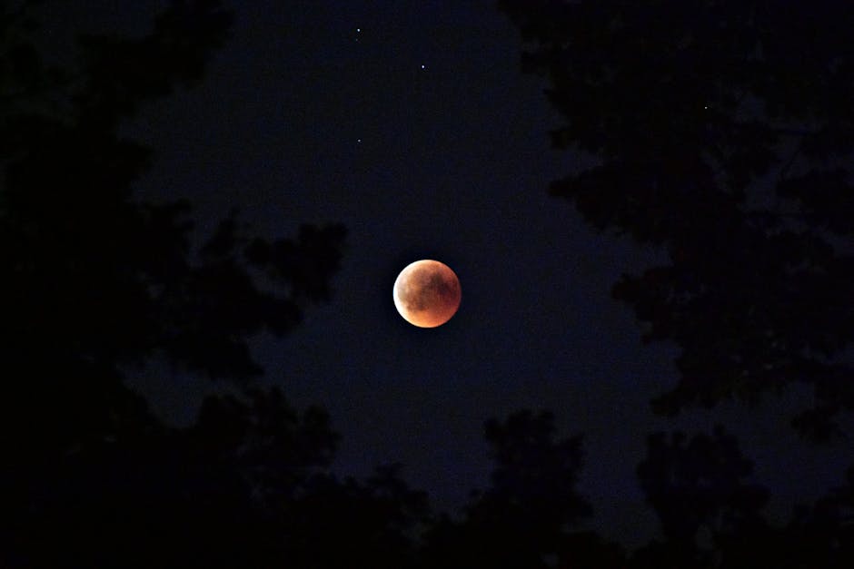 Blood Moon Total Lunar Eclipse - 今年唯一の皆既月食「ブラッドムーン」到来！ゲームメディアが報じる宇宙の神秘とは？