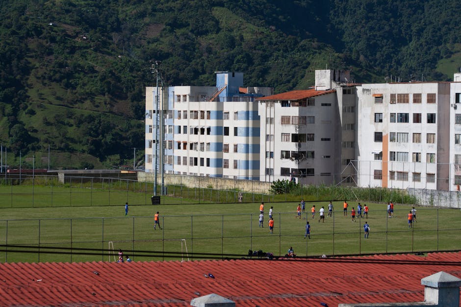 game development team, localization software - Larian Studios新作の予感！中国語ローカライズ担当募集で開発終盤か？