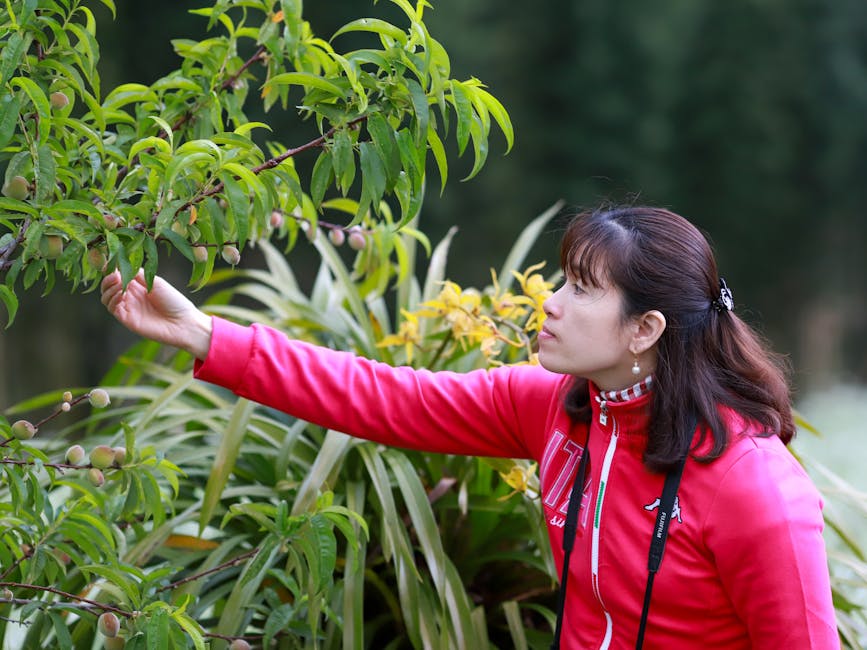 ageless Asian woman - 57歳で奇跡の美貌！周慧敏が語る若さの秘訣