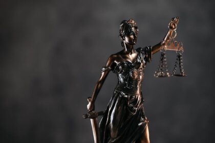 courtroom game, attorney character - 「逆転裁判」酷似で物議の中国産ADV『無罪之庭』、DMCA削除を乗り越えSteamで復活！驚きの高評価