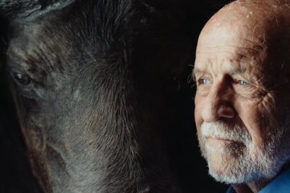 elderly care robot robot companion - 中国AIロボット「元萝卜」が高齢者ケア市場に参入！家電価格で感情に寄り添うロボット普及へ