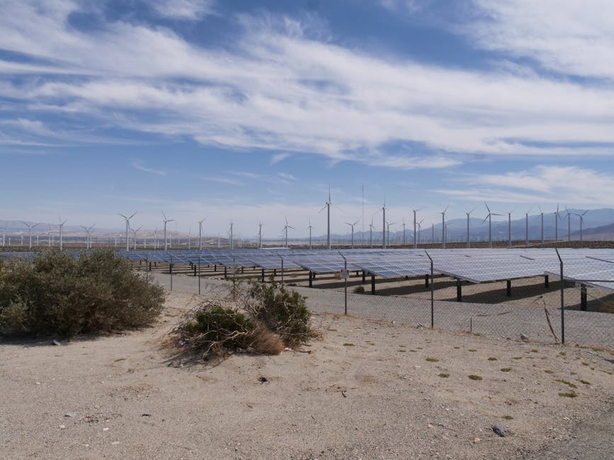 Solar panels Solar farm - 中国太陽光大手、好調IPOを自主撤回！「正泰安能」の戦略転換の真意とは？