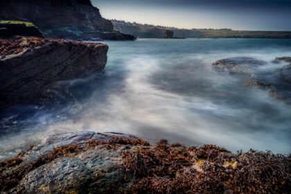 fighting game, visual novel - スト6と伝説のサウンドノベル「弟切草」が異色のコラボ！