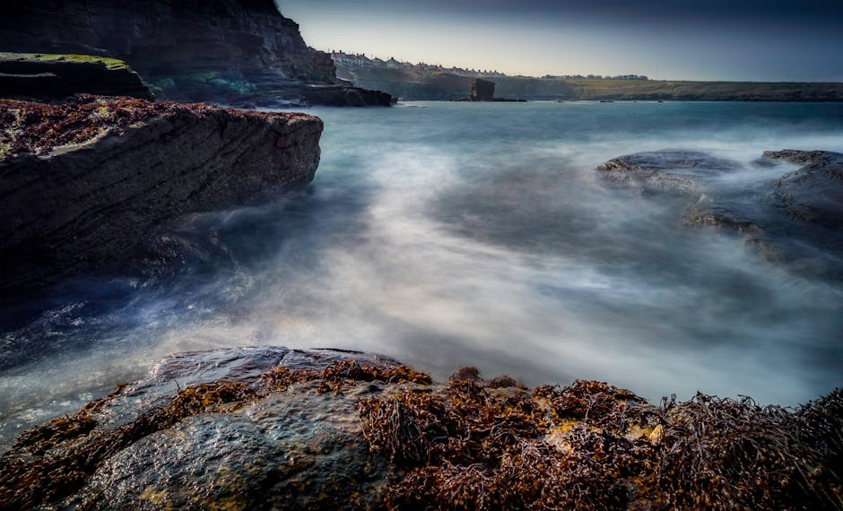 fighting game, visual novel - スト6と伝説のサウンドノベル「弟切草」が異色のコラボ！