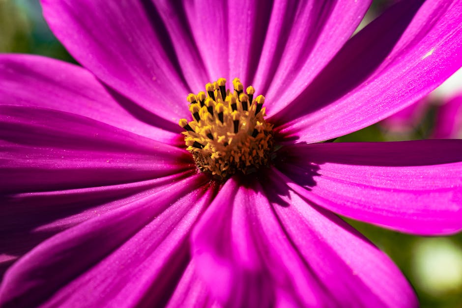 Unconventional wedding flowers Budget wedding flowers - 海外花嫁の仰天結婚式節約術！マクドナルドの花で費用削減、SNSで賛否両論