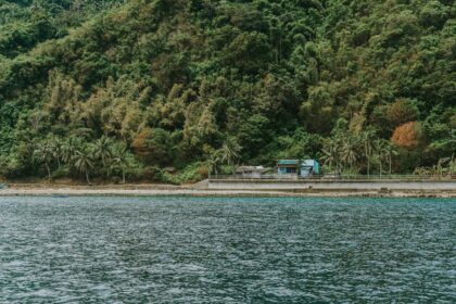 Awaji Island scenery - 「アサシン クリード シャドウ」DLC「淡路の爪」レビュー:美しき淡路島と王道ストーリー