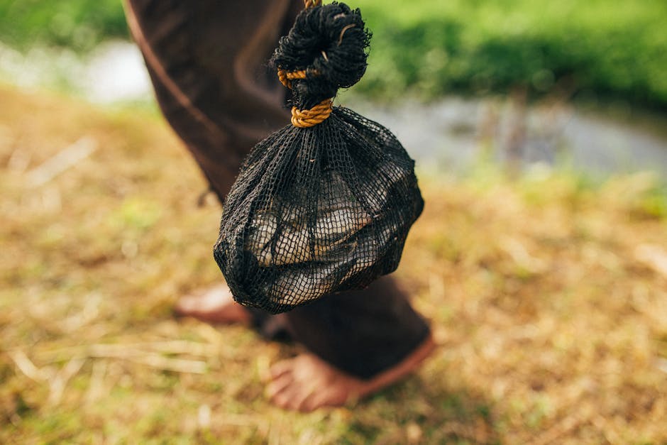 Giant fish begging food Fisherman feeding giant fish - 中国で驚きの光景！15kgの巨大魚が釣り人に餌をおねだり