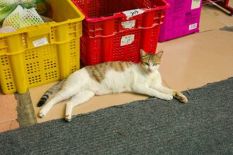 Chinese TV market downturn Empty electronics store China - 中国テレビ市場、世界最大の急落！その背景とメーカーの海外戦略