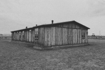 WWII strategy game, Eastern Front WWII - 「陣地之王：衛国戦争」アップデート！低ポリゴンで描く独ソ戦の激闘