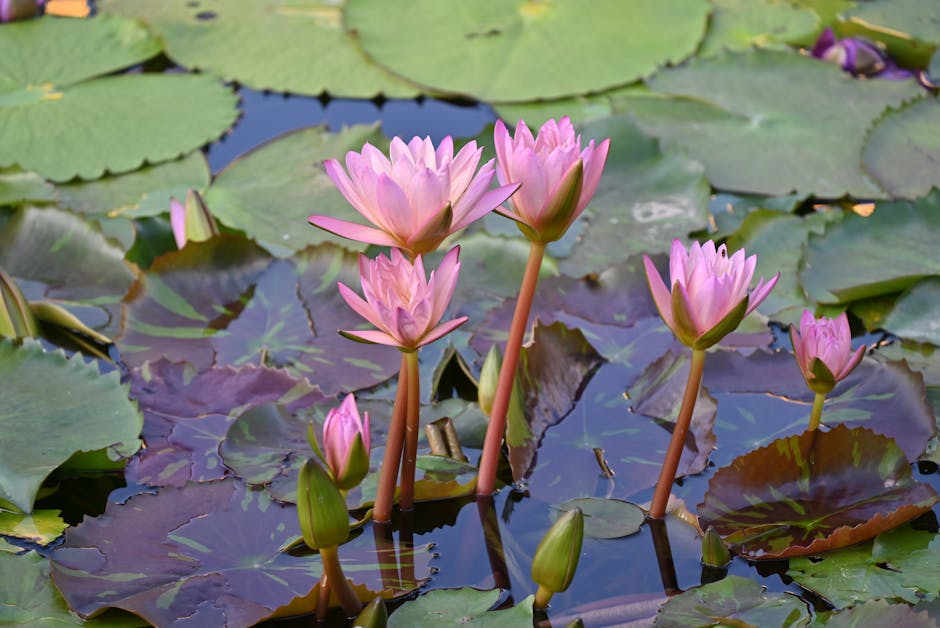 Gao Yuanyuan natural beauty - 46歳ガオ・ユエンユエン、自然体の美が共感を呼ぶ理由