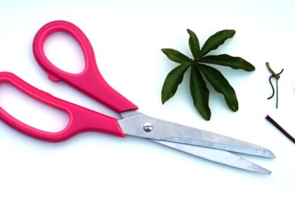 Broken kitchen scissors - 中国老舗「張小泉」キッチンハサミが魚を切って破損！品質に疑念