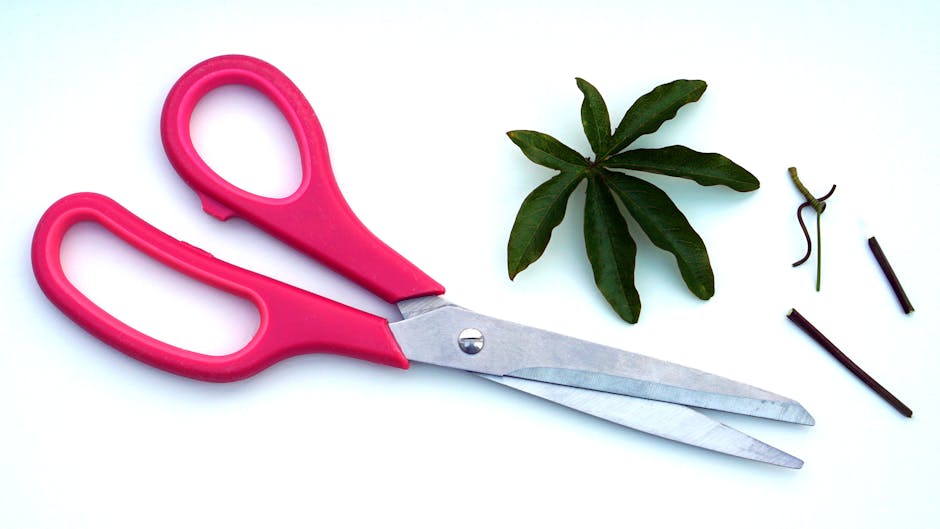Broken kitchen scissors - 中国老舗「張小泉」キッチンハサミが魚を切って破損！品質に疑念
