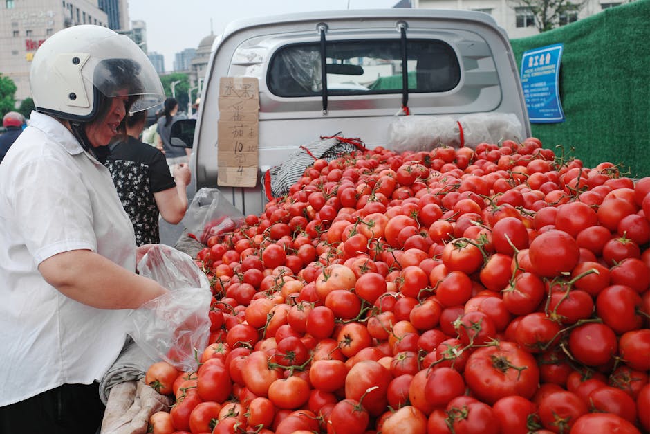 expensive tomatoes China China food inflation - 中国でトマト価格が驚異の10倍に高騰!一体なぜ?