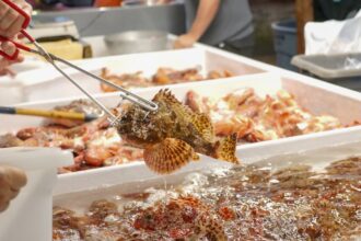 live commerce - 東京五輪金メダリスト、引退後のライブコマースに苦悩「私も生活がある」中国で賛否