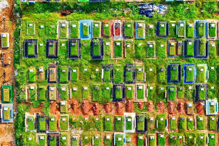 Chinese football game screen - 中国サッカーシミュレーターがSteam発売!リアルな中国サッカー文化を体験?