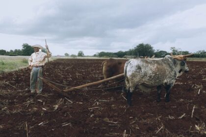 Farming simulation game Veteran farming - ゲームが人生を変える：元海兵隊員から農場主へ