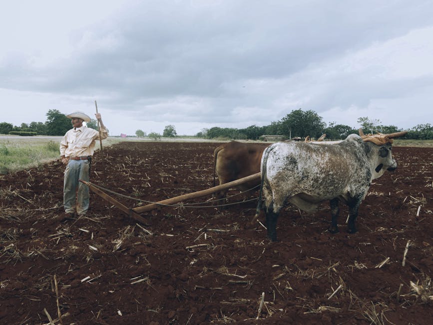 Farming simulation game Veteran farming - ゲームが人生を変える：元海兵隊員から農場主へ