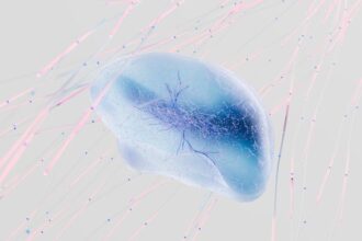 solo entrepreneur, AI neural network - 中国テック界の重鎮が警鐘！AI時代の「一人会社」幻想とビジネスの現実