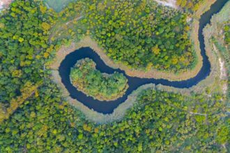 AI research, AI ecosystem - ファーウェイ、AIを「確実な戦略的機会」と断言!2025年へ向けたR&Dとエコシステム強化