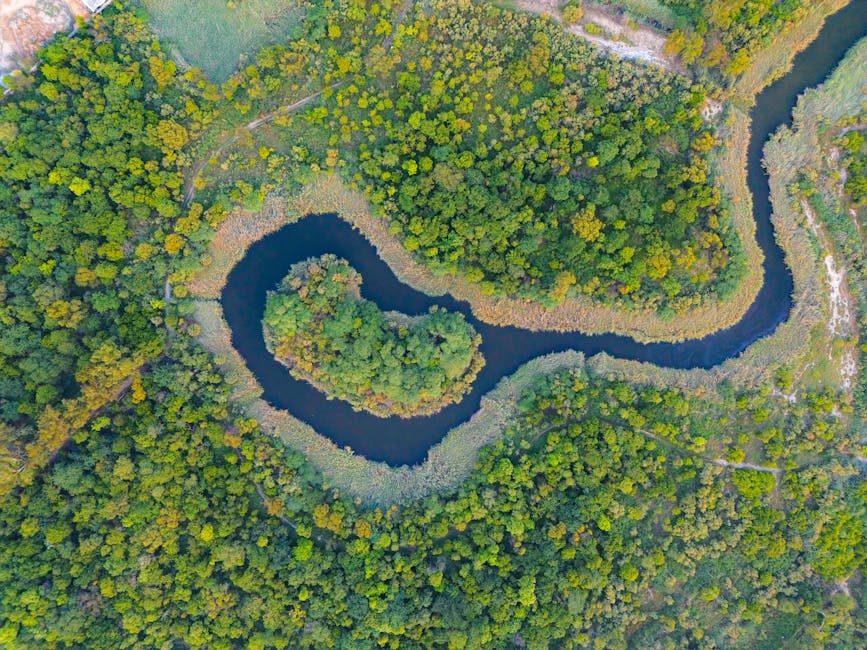 AI research, AI ecosystem - ファーウェイ、AIを「確実な戦略的機会」と断言!2025年へ向けたR&Dとエコシステム強化