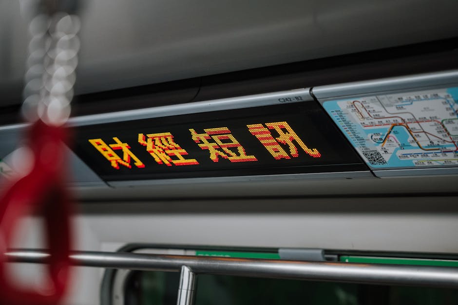 Chinese AI training - 中国AI職業訓練の闇？「就職保証」の罠と甘い誘惑のリアル