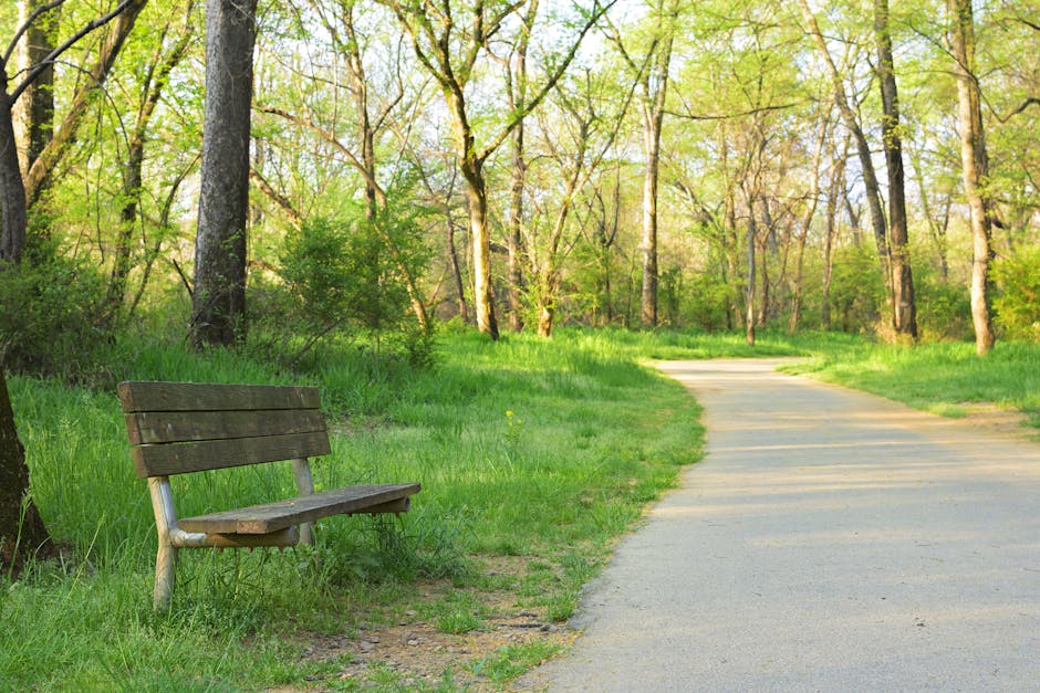 tourism app interface scenic greenway path - 中国・昆明「滇池緑道」：108kmの絶景とスマート観光が織りなす地域活性化の奇跡