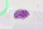 AI stock market chart Artificial intelligence brain - OpenAI、9月上場目指しIPO加速か？収益と競争が課題