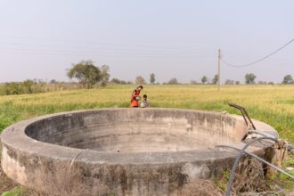 India water crisis India heatwave - インド灼熱の夏：50℃に迫る猛暑で電力・水危機深刻化