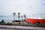 Cannes Film Festival Red carpet celebrity - スペイン人気女優エステル・エクスポシート、カンヌで顔面激変か？整形疑惑に衝撃の声