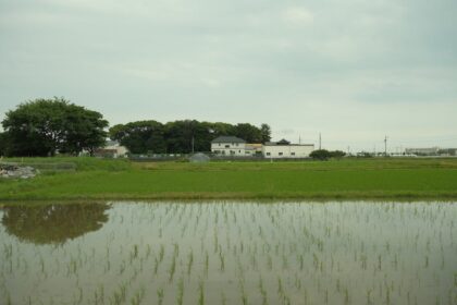 Japanese rice field, Japanese countryside - 「Forza Horizon 6」日本の田園風景で「田んぼクラッシュ」が海外で物議!