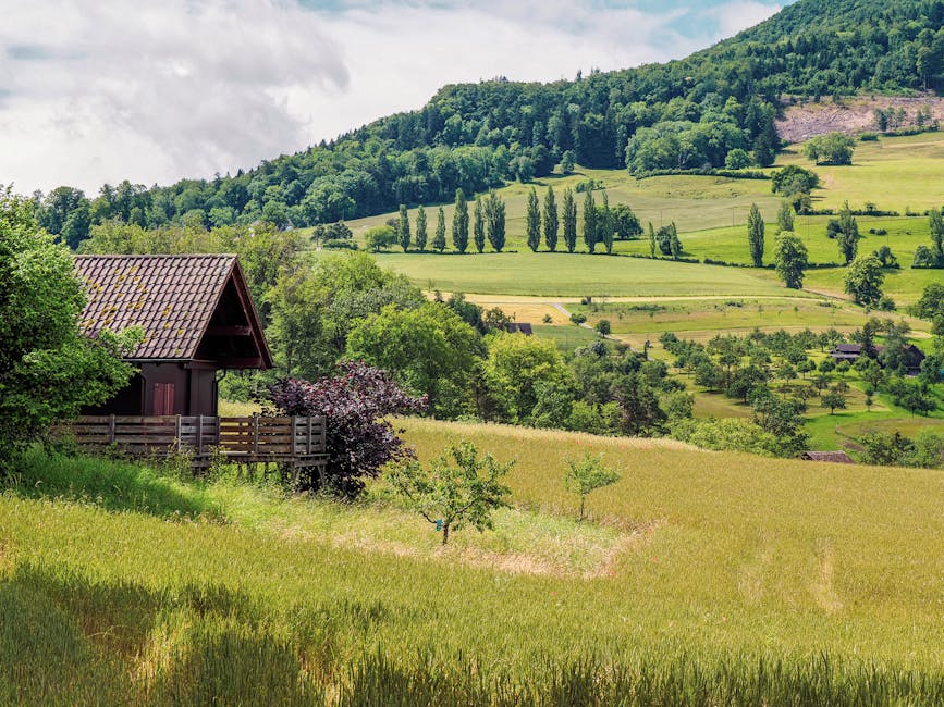 countryside slow living idyllic countryside - トニー・レオン夫妻とマギー・チャン、田園生活に目覚める！セレブが選ぶ究極のスローライフ
