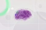 Apple iPhone artificial intelligence brain - Apple製品値上げ！Mac・iPadの次はiPhoneも？AI投資が価格に影響か