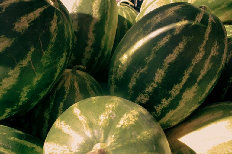 KFC chicken watermelon KFC watermelon combo - 中国KFCが夏の定番を刷新！チキンに「爆汁ミニスイカ」を添えて