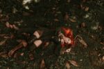 Jean Grey, Wolverine game - 『マーベル ウルヴァリン』ジーン・グレイ新デザインが物議！「醜い」VS「的外れ」でファン激論