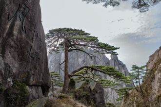 Chinese fantasy game world Open world game landscape - 中国国産ゲーム、この夏は大豊作!注目の新作・大型更新が目白押し