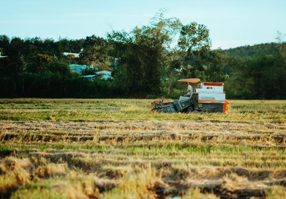 Agritech rice field Smart rice farming - 「五常大米」中国ブランド価値11年連続No.1!黒土地の恵みとテクノロジーが紡ぐ米の伝説