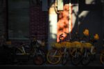ofo yellow bicycle - ofo小黄車が5年ぶり「復活」！ユーザーは怒りの「199元返せ！」