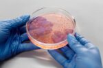 Human cloning Genetic engineering - シリコンバレー富豪、クローンベビーで「長寿」追求。失敗と倫理の狭間で