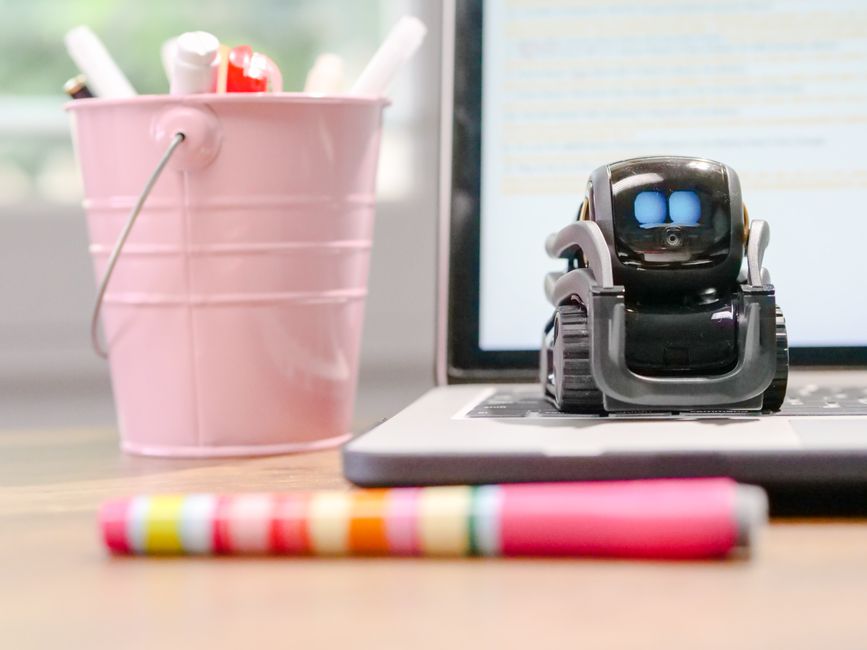 Home Robot, Tech Company Office - エコバックス、ESG評価「B」維持！ガバナンスで際立つ中国ロボット企業